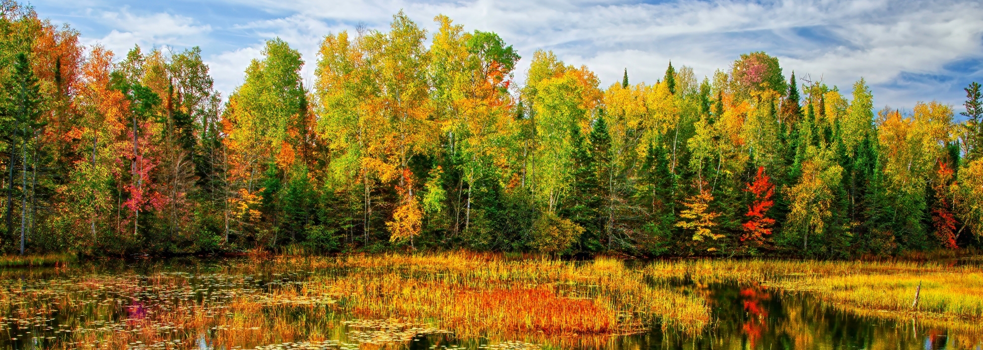 Scenic view of lake by trees against sky,Town of Boulder Junction,Wisconsin